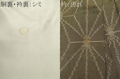 平和屋着物■上質な紬　麻の葉文様　正絹　逸品　CABH0766ev