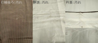平和屋着物■上質な小紋 縞 正絹 逸品 CABH0836ou