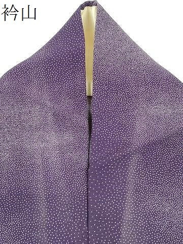 平和屋着物＊夏物　江戸小紋　絽　霞文　正絹　逸品　CABH0906ou