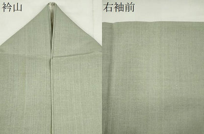 平和屋着物＊夏物　彩芭蕉布　夏虫　証紙付き　正絹　逸品　CABH0925ou