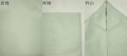 平和屋着物＊夏物　訪問着　絽　草花文　暈し染め　正絹　逸品　CABH0932ou