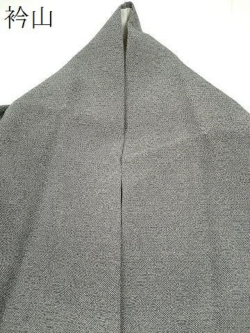 平和屋着物＊夏物　江戸小紋　絽　鮫小紋柄　正絹　逸品　CABH0948ou