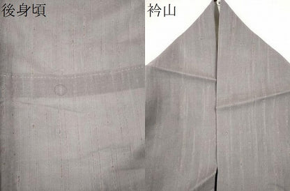 平和屋着物＊夏物　訪問着　ぜんまい紬　紗　樹林文　ロング丈　正絹　逸品　CABH0950ou
