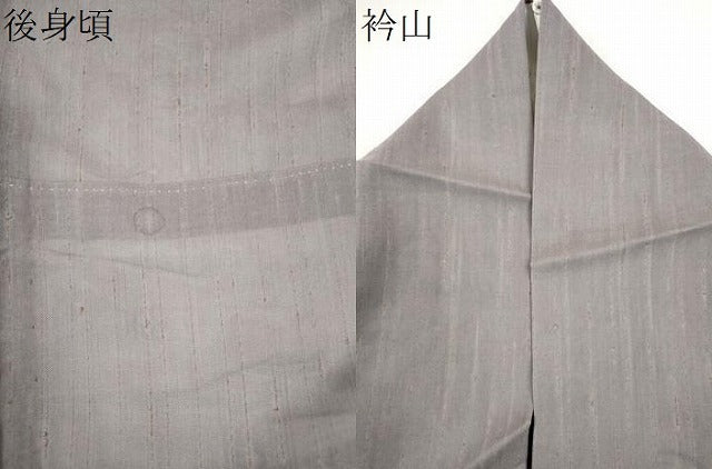 平和屋着物＊夏物　訪問着　ぜんまい紬　紗　樹林文　ロング丈　正絹　逸品　CABH0950ou