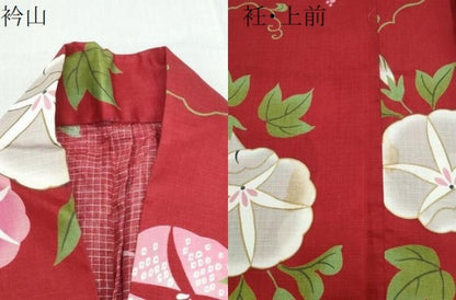 平和屋着物∴夏物 浴衣 綿紅梅 朝顔 金彩 綿 逸品 CABH1208ng