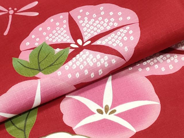 平和屋着物∴夏物 浴衣 綿紅梅 朝顔 金彩 綿 逸品 CABH1208ng