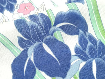 平和屋着物∴夏物　浴衣　綿紅梅　杜若　綿　逸品　CABH1221ng