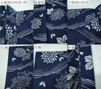 平和屋着物∴夏物　浴衣　綿絽　立波舞蝶菊文　綿　逸品　CABH1253ng