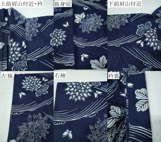 平和屋着物∴夏物　浴衣　綿絽　立波舞蝶菊文　綿　逸品　CABH1253ng