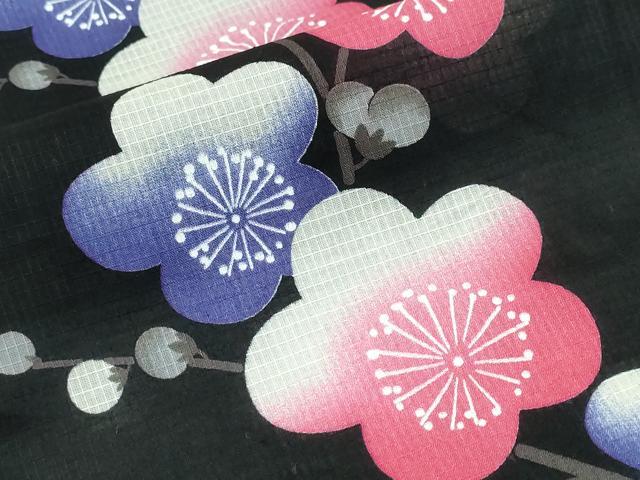 平和屋着物∴夏物　浴衣　綿紅梅　枝梅文　黒地　綿　逸品　CABH1487ng