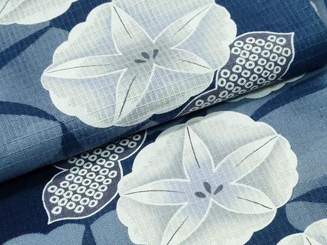 平和屋着物∴夏物　浴衣　綿紅梅　朝顔　綿　逸品　CABH1557ng