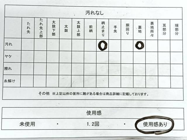 平和屋着物◎六通柄袋帯　唐織　草花文　金銀糸　正絹　逸品　CABH1832nb