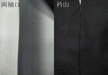 平和屋着物●上質な小紋　絞り　雪輪舞桜文　黒地　金彩　まるやま扱い　正絹　逸品　CABH2431ut