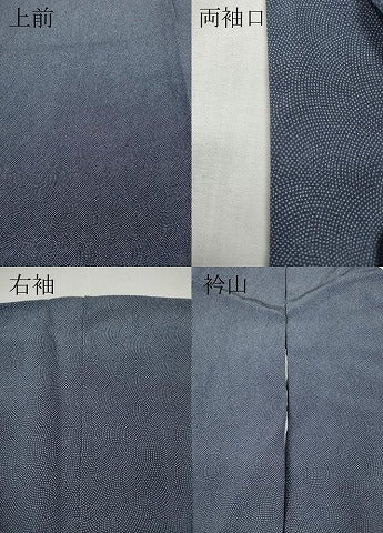 平和屋着物●世界的人形師　辻村寿三郎　ジュサブロー　訪問着　江戸小紋　蜃気楼　鮫小紋柄　暈し染め　ロング丈　正絹　逸品　CABH2433ut