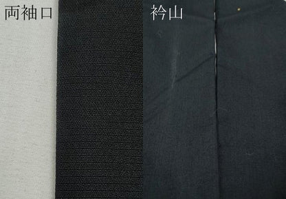 平和屋着物●訪問着　作家物　紬地　手描き　遠山鳥居人物文　正絹　逸品　CABH2469ut