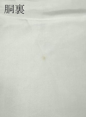 平和屋着物●上質な小紋　紅型　貝花文　鬼しぼ縮緬　正絹　逸品　CABH2562ut