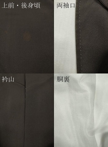 平和屋着物●訪問着　壁画文様　金彩　正絹　逸品　CABH2564ut