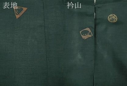 平和屋着物●本場染大島紬　成り物　正絹　逸品　CABH2565ut