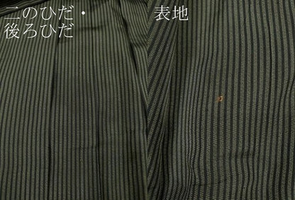 平和屋着物●男性　馬乗り袴　縞　正絹　逸品　CABH2594ut