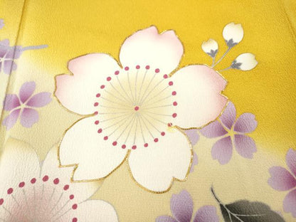 平和屋着物●豪華振袖　駒刺繍　舞花文　暈し染め　正絹　逸品　CABH2628ut