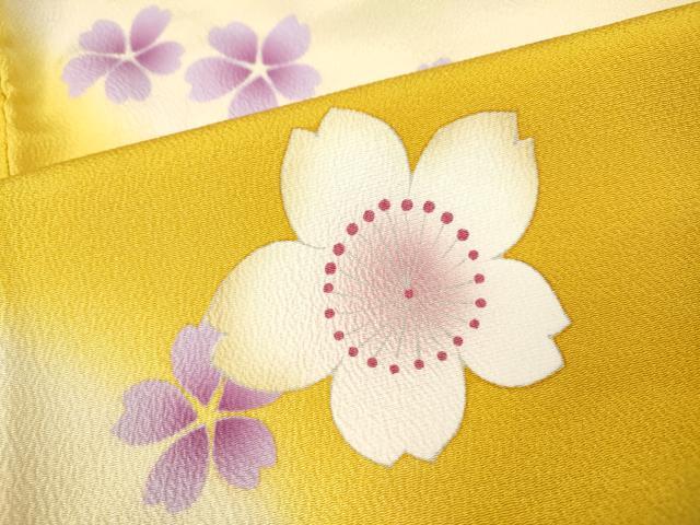 平和屋着物●豪華振袖　駒刺繍　舞花文　暈し染め　正絹　逸品　CABH2628ut
