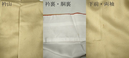平和屋着物●訪問着　花車文　暈し染め　金銀彩　鈴乃屋扱い　正絹　逸品　CABH2649ut