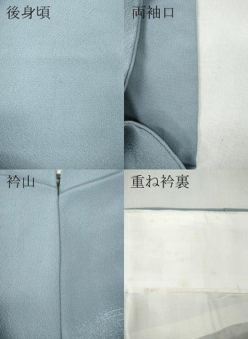 平和屋着物●訪問着　立波飛鳥草花文　暈し染め　金彩　正絹　逸品　CABH2677ut