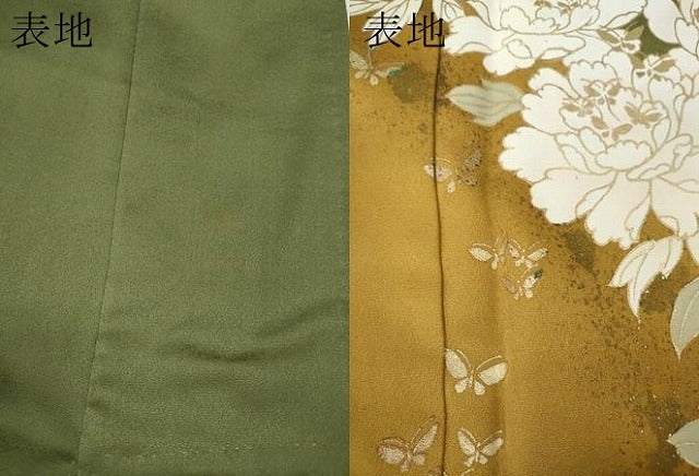 平和屋着物●訪問着　舞蝶文　暈し染め　金彩　正絹　逸品　CABH2683ut