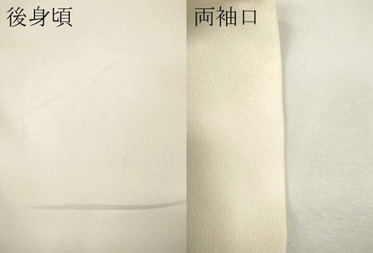 平和屋着物●訪問着　寿光織　エ霞草花文　金銀糸　正絹　逸品　CABH2728ut