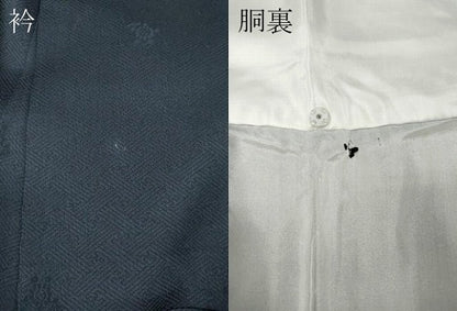 平和屋着物●訪問着　花蝶丸文　暈し染め　金彩　正絹　逸品　CABH2788ut