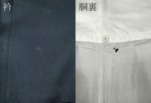 平和屋着物●訪問着　花蝶丸文　暈し染め　金彩　正絹　逸品　CABH2788ut