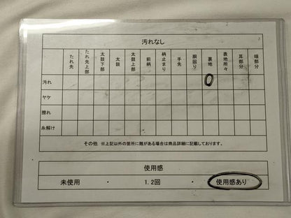 平和屋着物◎六通柄袋帯　雲取り枝梅文　金銀糸　正絹　逸品　CABH2827oy