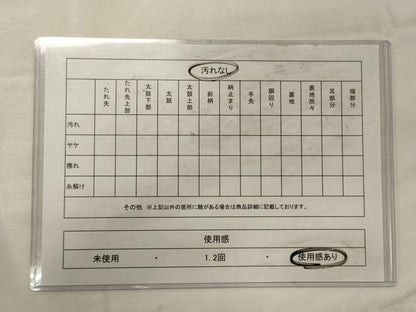平和屋着物◎六通柄袋帯 草花文 藤花房 金銀糸 正絹 逸品 CABH2889oy