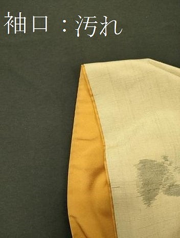 平和屋着物■上質な紬　舞蝶間道　正絹　逸品　CABH2928oy