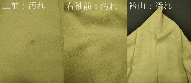 平和屋着物■本草木染作家 瑞鳳 色無地 若苗色 正絹 逸品 CABH2964oy
