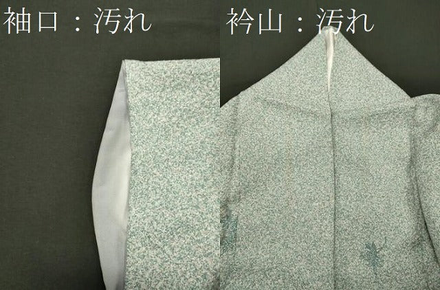 平和屋着物■上質な小紋　南天文　正絹　逸品　CABH3021oy