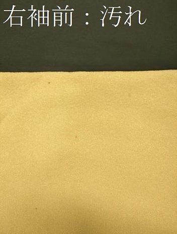 平和屋着物■訪問着　絞り　抽象文　正絹　逸品　CABH3057oy