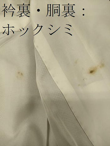 平和屋着物■本場大島紬　7マルキ　雲取り花文　正絹　逸品　CABH3094oy