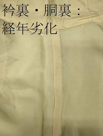 平和屋着物■訪問着　手描き　枝花文　正絹　逸品　CABH3141oy