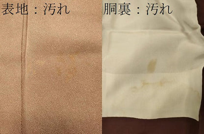 平和屋着物■江戸小紋　鮫小紋柄　正絹　逸品　CABH3174oy