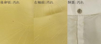 平和屋着物■上質な小紋　松葉地紋　暈し染め　正絹　逸品　CABH3365ua