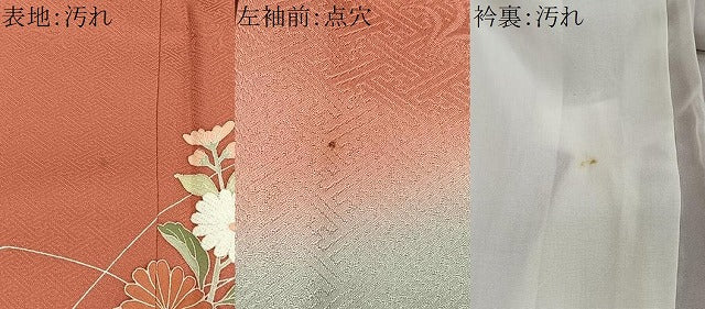 平和屋着物■訪問着　エ霞草花文　暈し染め　金銀糸　正絹　逸品　CABH3376ua