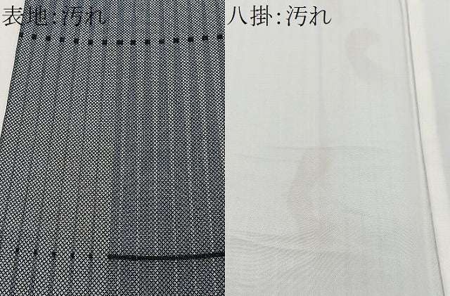 平和屋着物■上質な小紋　間道　正絹　逸品　CABH3402ua