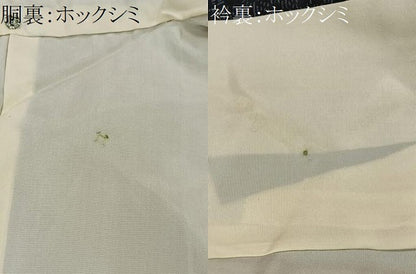 平和屋着物■本場大島紬　草花文　正絹　逸品　未使用　CABH3419ua