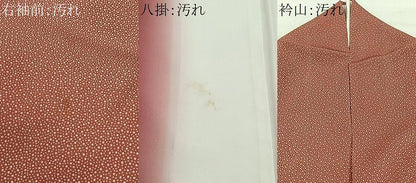 平和屋着物■江戸小紋　内田秀一作　大小霰　松坂屋扱い　正絹　逸品　CABH3474ua