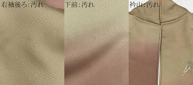 平和屋着物■中国三大刺繍　スワトウ刺繍　訪問着　雪輪枝花文　暈し染め　金彩　正絹　逸品　CABH3480ua