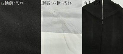 平和屋着物■豪華黒留袖　作家物　嵯峨　樹林風景文　暈し染め　金彩　正絹　逸品　CABH3567ua
