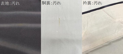 平和屋着物■上質な小紋　霞文　暈し染め　正絹　逸品　CABH3573ua