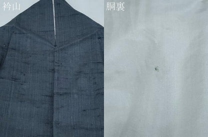 平和屋着物●訪問着　作家物　紬地　手描き　いろは歌　金彩　正絹　逸品　CABH3620th
