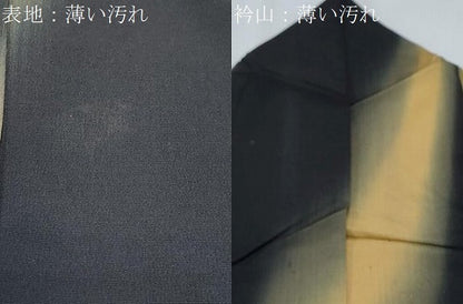 平和屋着物■上質な小紋　吉祥文　黒地　正絹　逸品　CABH3657th